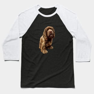 Sussex Spaniel Gorgeous Dog! Baseball T-Shirt